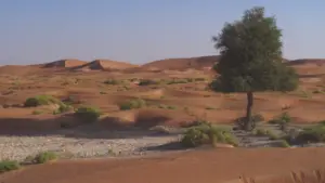 Oman: Meraviglie naturali d’Arabia