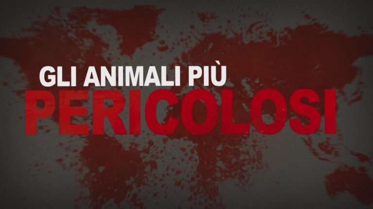 Gli animali piu' pericolosi