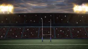 Leinster – Bulls Finale