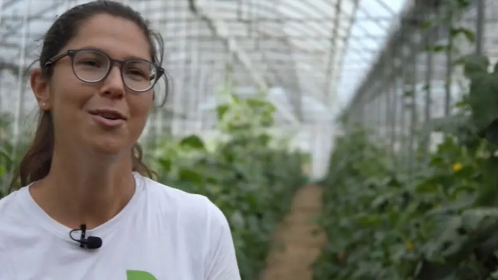 Green storytellers – food rescue: alla..