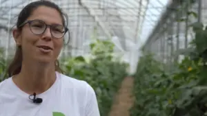 Green storytellers – food rescue: alla..