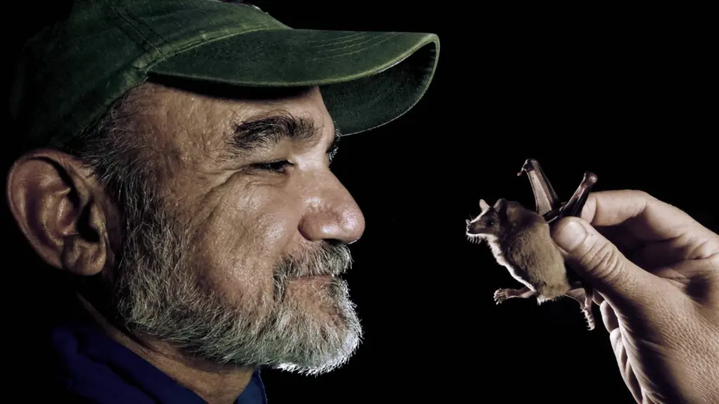 L’uomo pipistrello