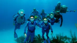 Le meraviglie del mare