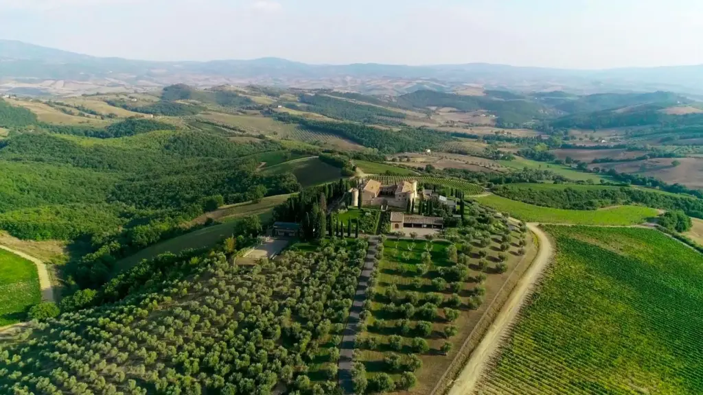 Le grandi cantine