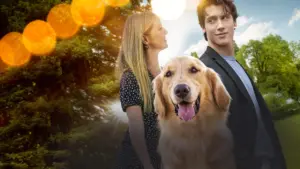 Un amore a quattro zampe