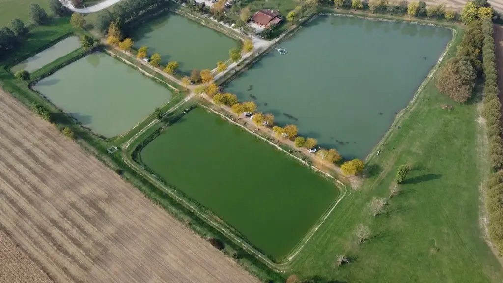 A pesca nei carpodromi in Veneto 1