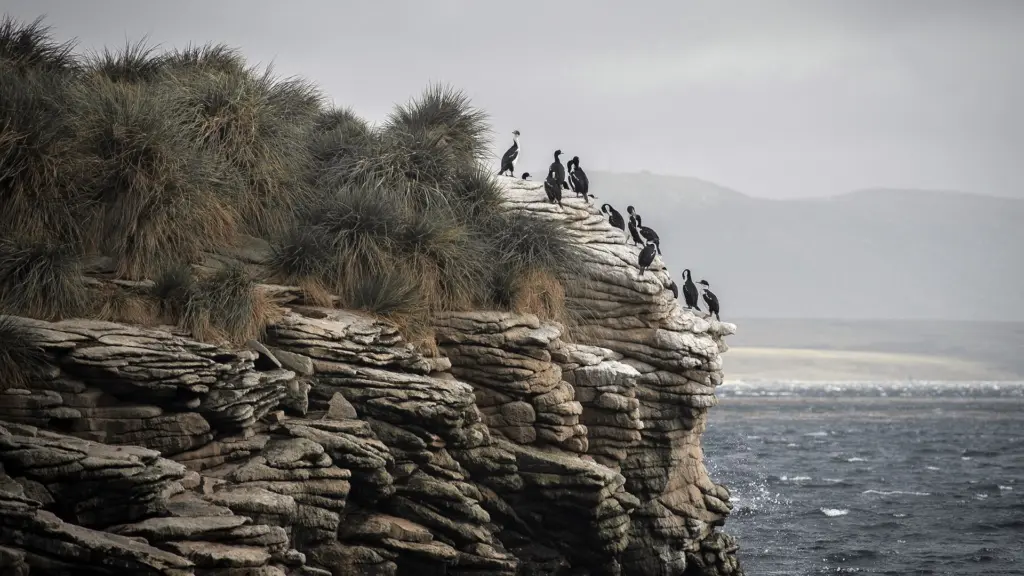 Atlantico: Oceano selvaggio