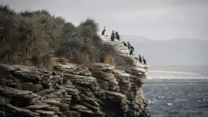 Atlantico: Oceano selvaggio