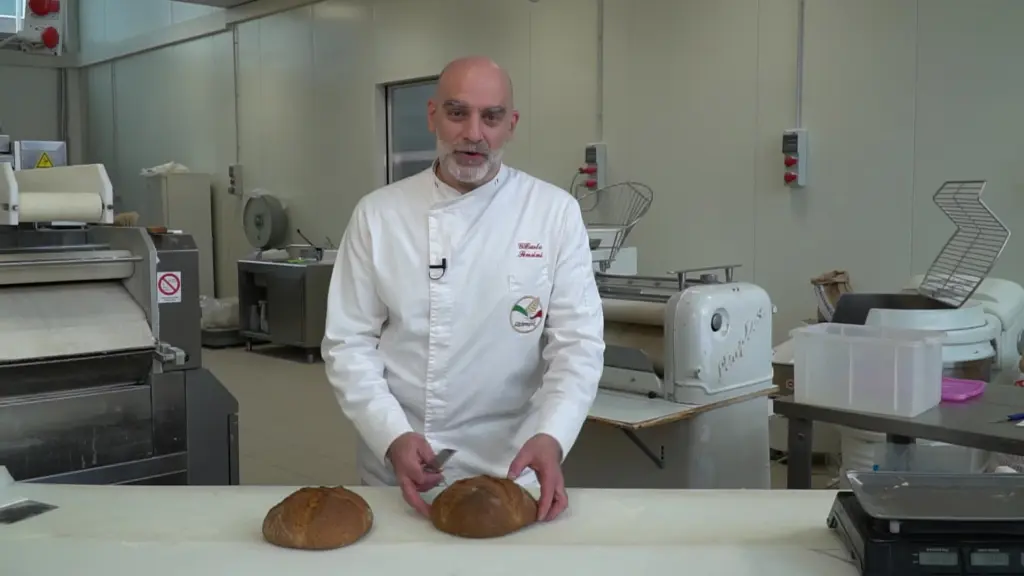 Neogrania – Dal campo al forno