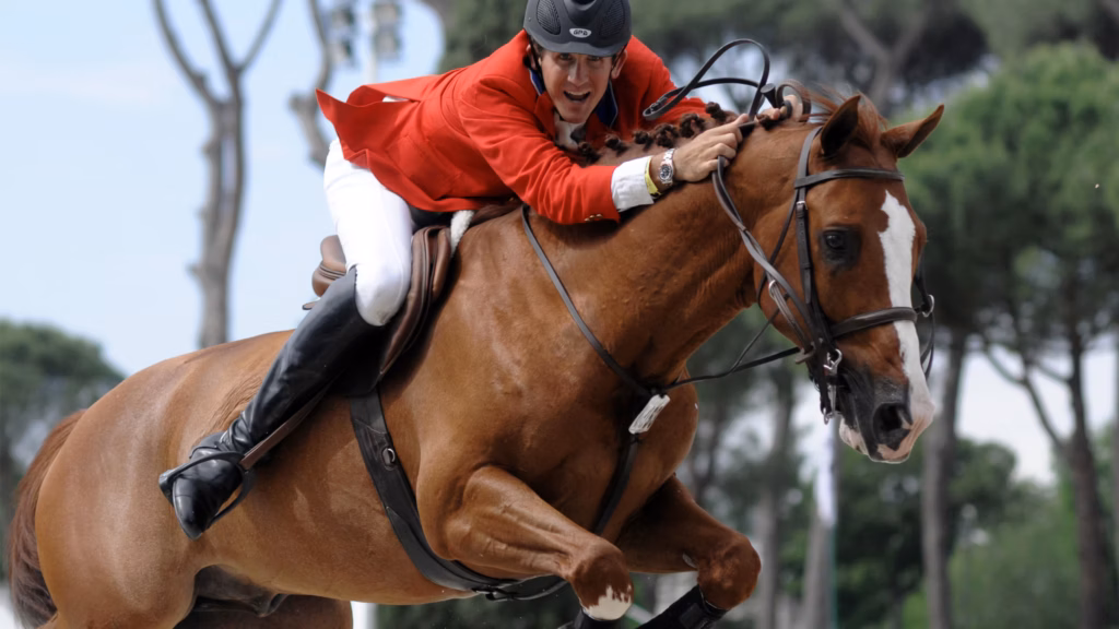 Equitazione