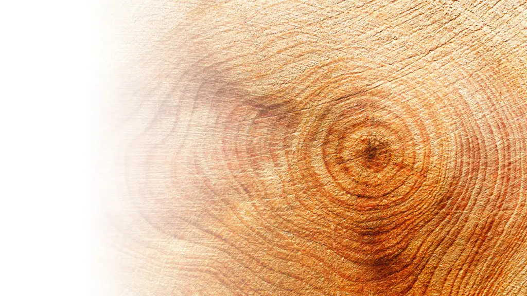 Materia Viva