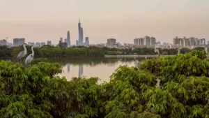 Cina selvaggia: Guangdong – Cina selvaggia: Guangdong – Città