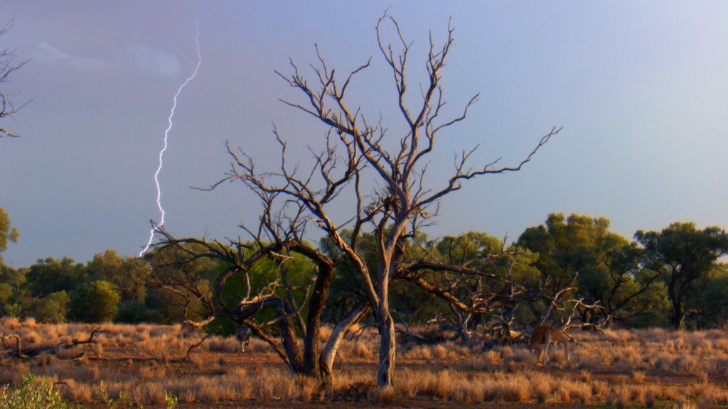 Cielo indomabile – Cielo indomabile – Australia