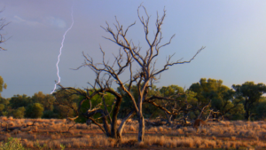 Cielo indomabile – Cielo indomabile – Australia