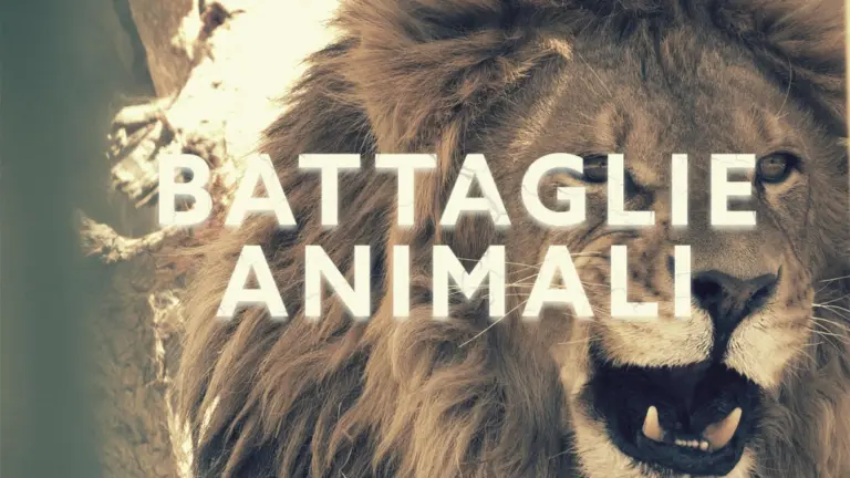 Battaglie animali - PrimaTv