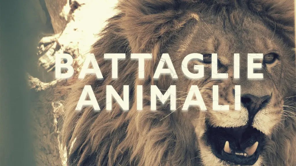 Battaglie animali – PrimaTv
