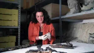 Pompei & Tutankhamon – A caccia di…