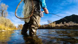 Profishionals School: Pesca a mosca 1