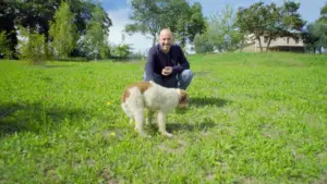 Storie di cucina marchigiana