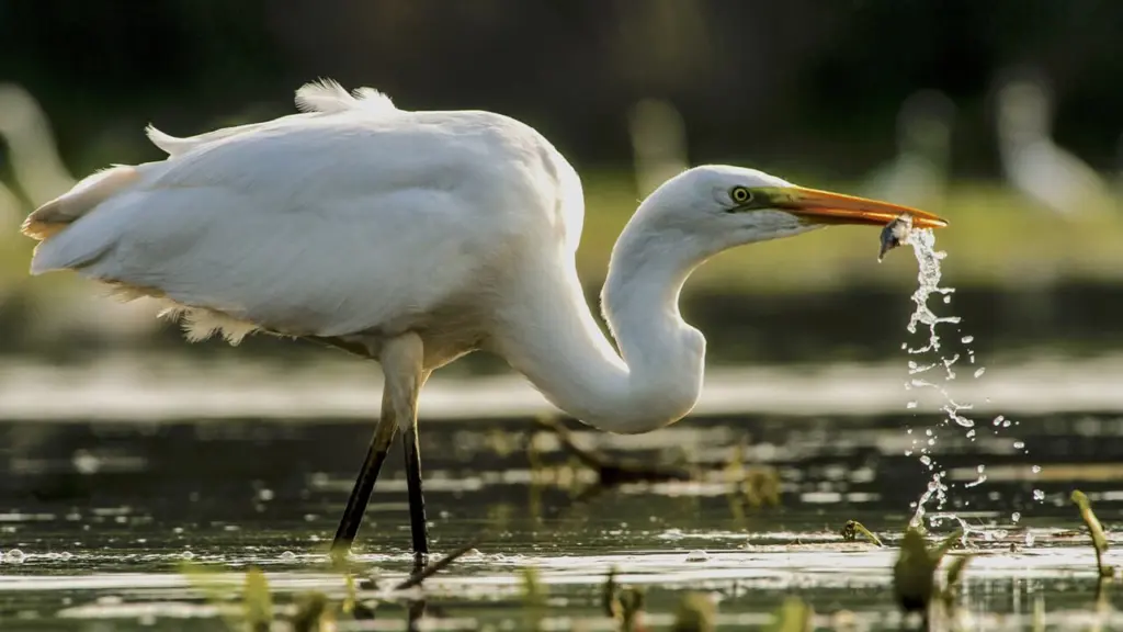 La natura insegna: le ciclicita’