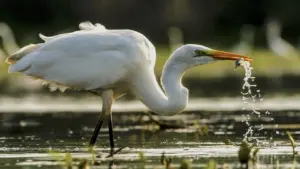 La natura insegna: le ciclicita’
