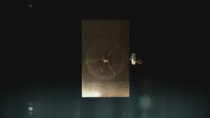 Strangest things