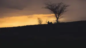 Barren Lands: Terre aride