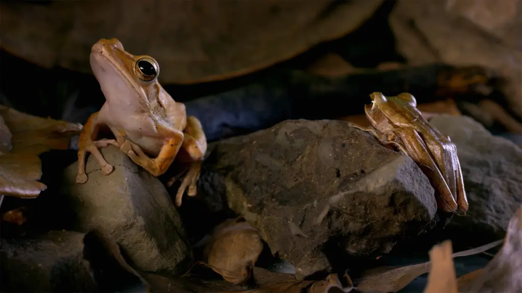 La natura piu’ pazza del mondo