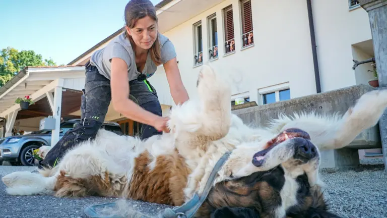 I paladini degli animali - Settimo episodio