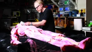 Mythbusters – Miti da sfatare