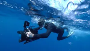 L’oceano oscuro