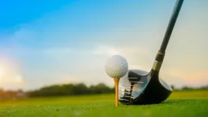 Conferenza Stampa Ryder Cup: One Year To Go