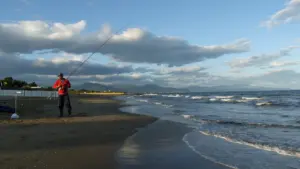 Il mio Surf