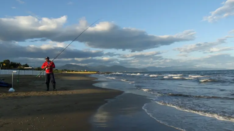 Il mio Surf