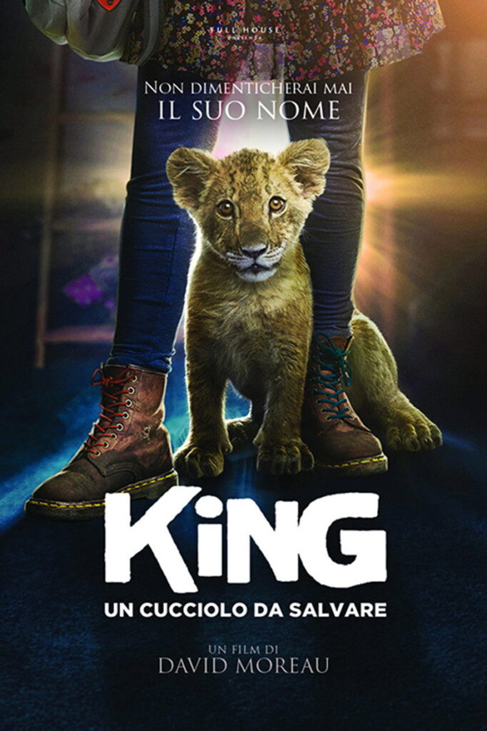 King, un cucciolo da salvare