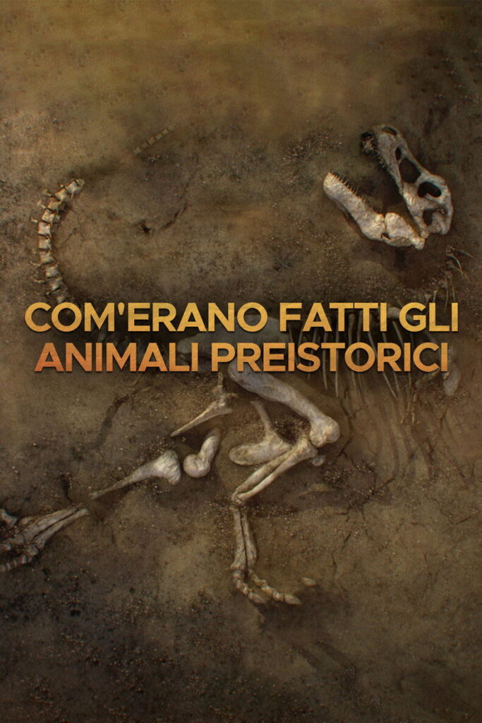 Com’erano fatti gli animali preistorici