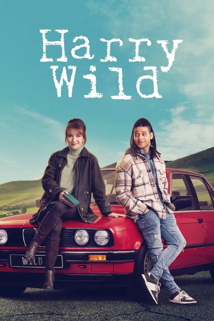 Harry Wild – La signora del delitto