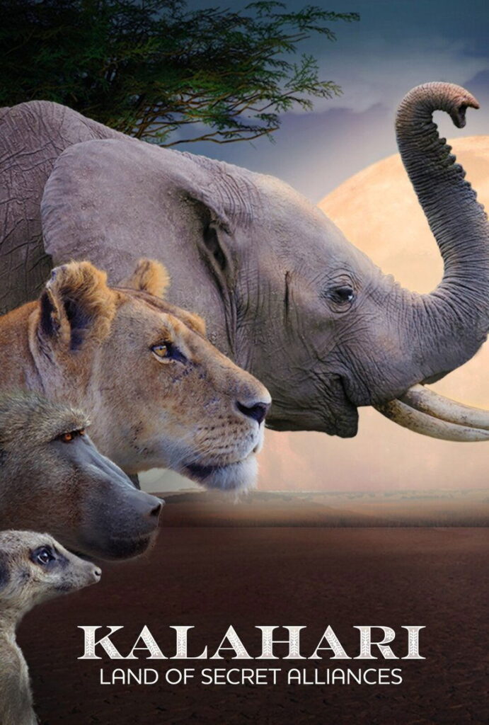 Kalahari – Land of secret alliances