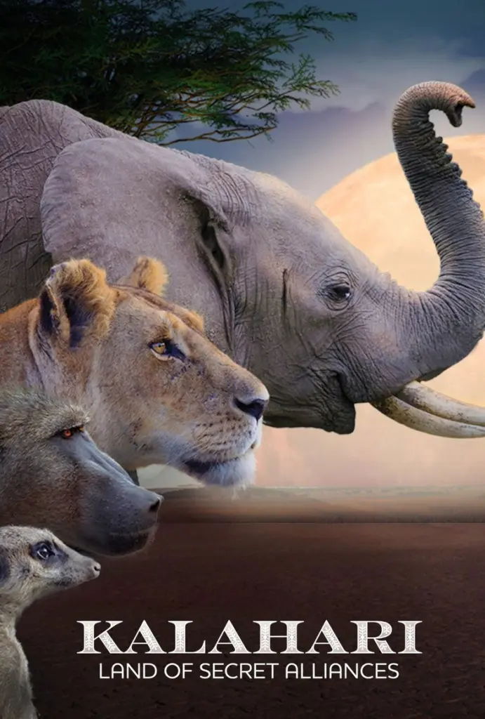 Kalahari – Land of secret alliances