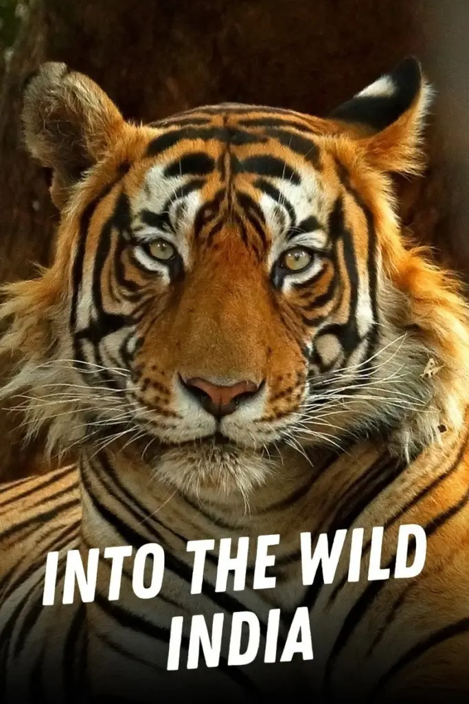 Into the wild: india