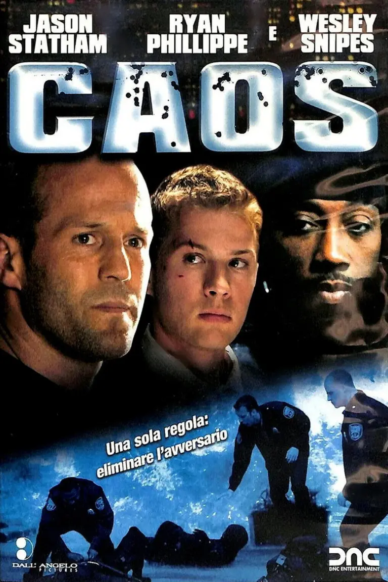 Chaos