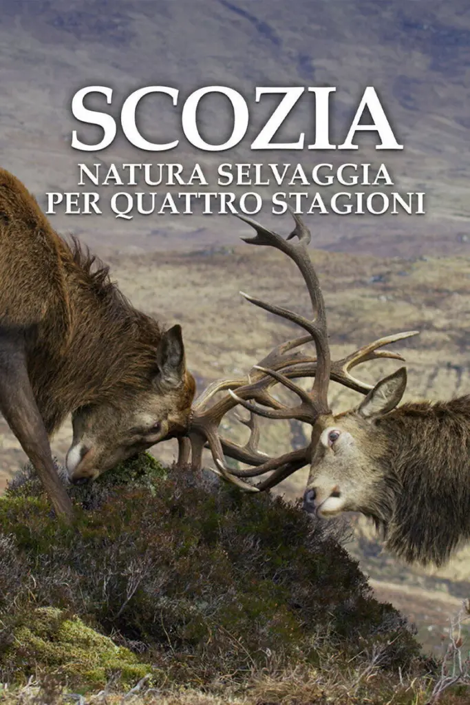 Scozia: Natura selvaggia per quattro stagioni