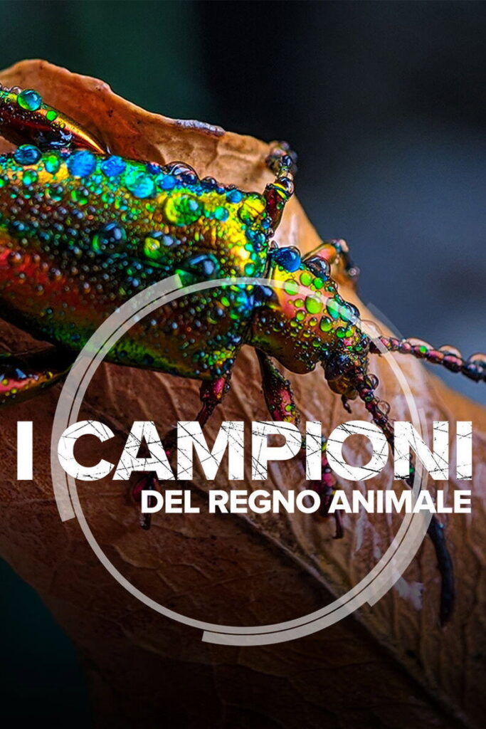 I campioni del regno animale