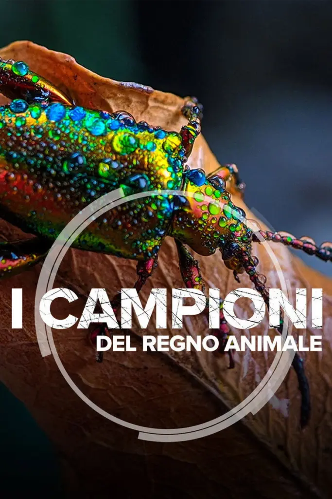 I campioni del regno animale