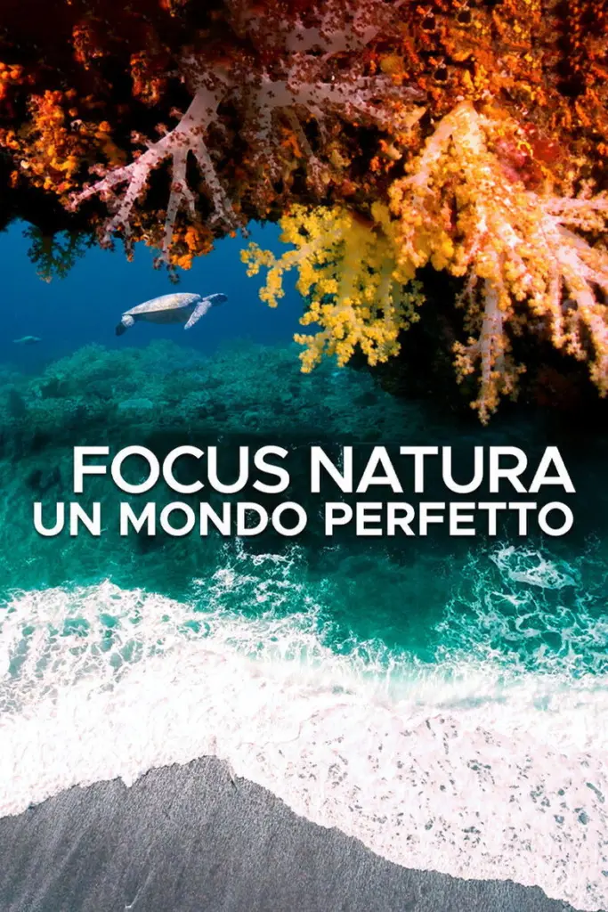 Focus Natura – Un mondo perfetto