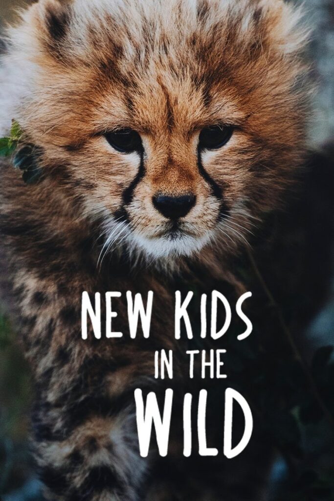 New kids in the wild