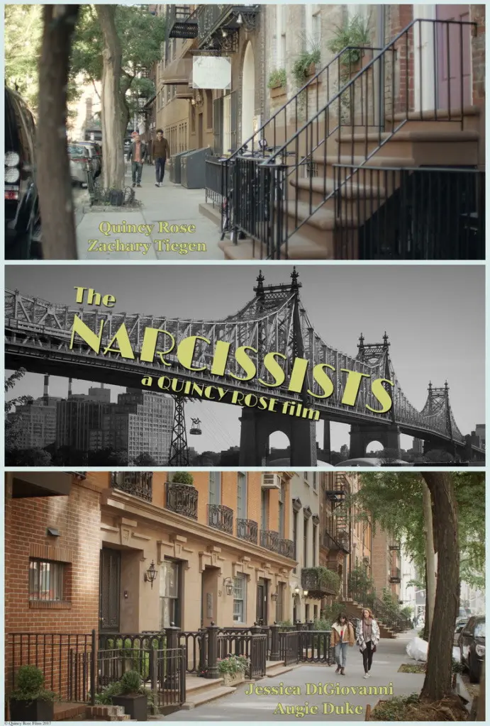 Il narcisista