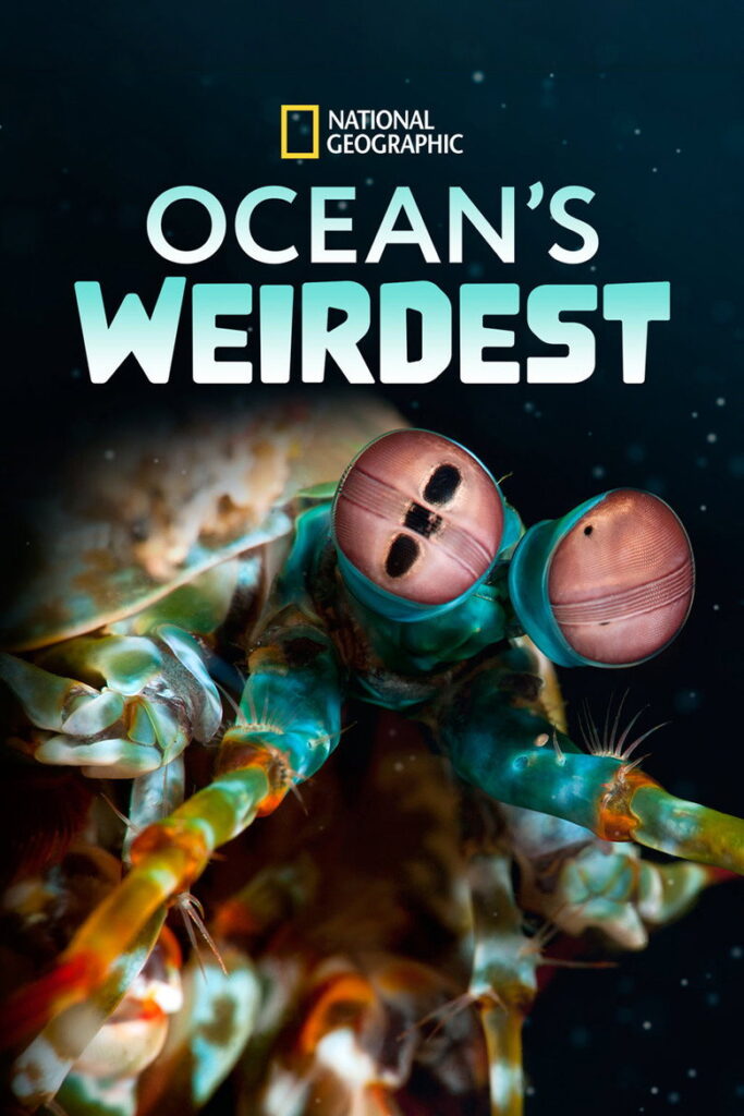 Oceani: Creature bizzarre